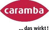 Hochl.Korrosionsschutzwachs transp.500 ml Spraydose CARAMBA