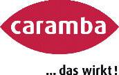 Intensivkaltreiniger 500 ml Spraydose CARAMBA