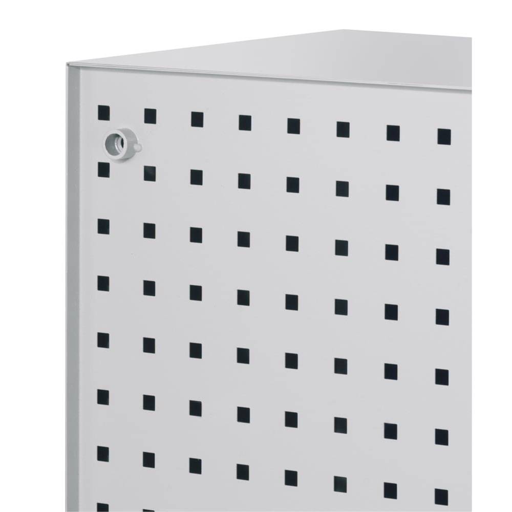 Hängeschrank, Rückwand, Türinnenseiten + Innentüren m. Lochpl., BxTxH 920x335x62