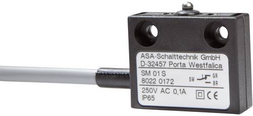 Mikroschalter SM 01 S 250 V/AC 0.1A 1 x Ein/(Ein) IP65 tastend 1St.