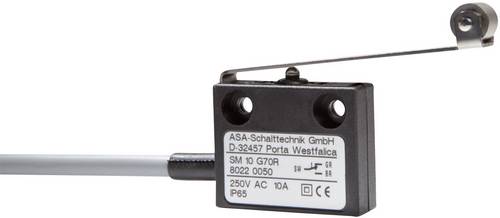 Mikroschalter SM 10 G70R 250 V/AC 10A 1 x Ein/(Ein) IP65 tastend 1St.