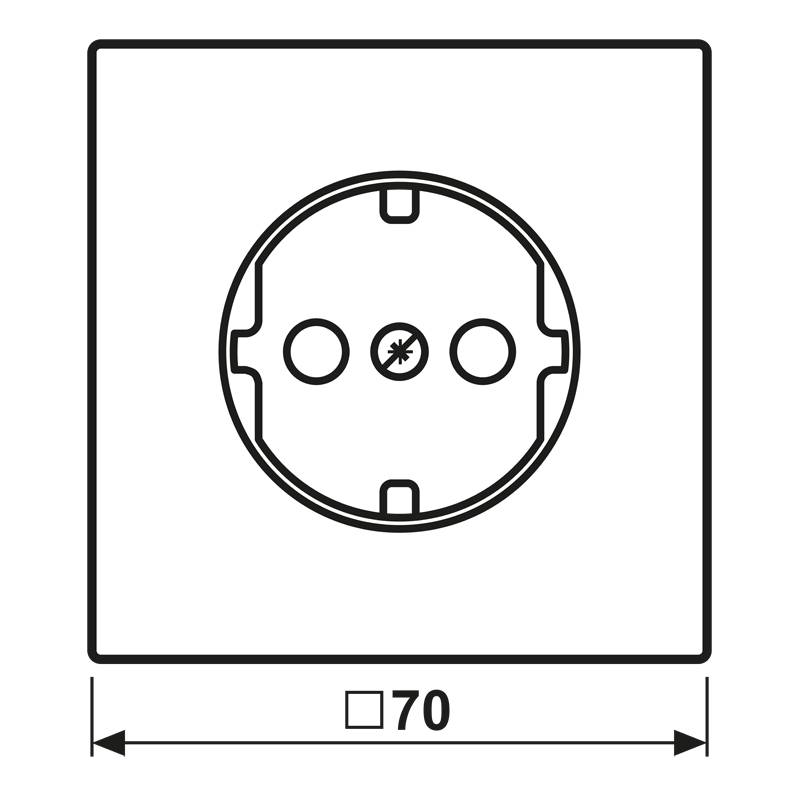 Jung Zentralplatte AL 1520 KIPL AN