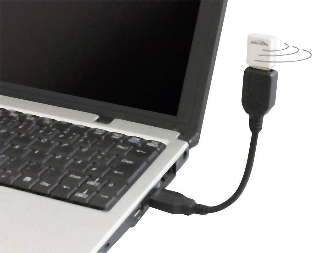 Delock    0.16 m Schwarz