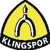 Fächerschleifer 13051 Ø 60 mm Breite 30 mm Körnung 60