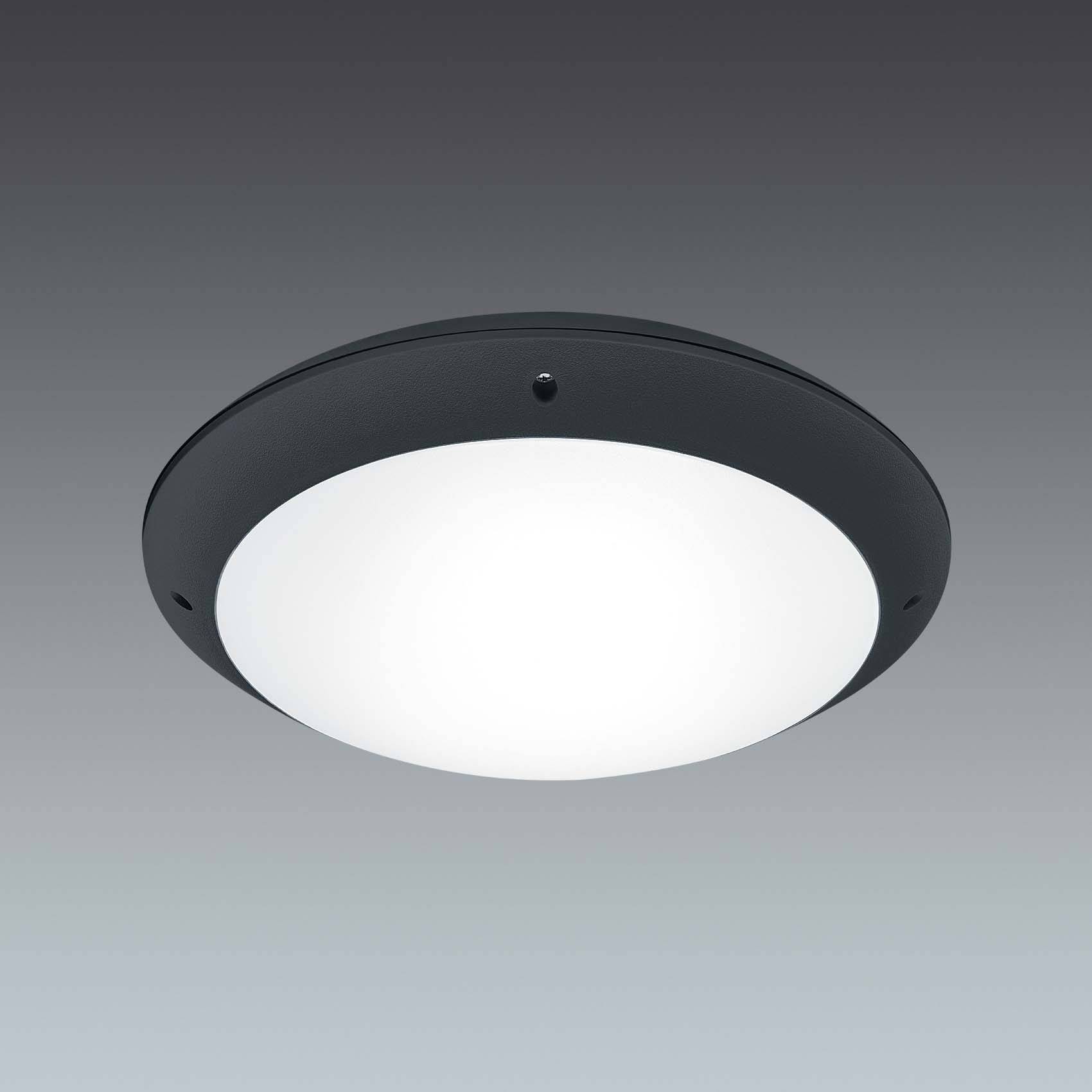 THORNeco LED-Wandanbauleuchte 300 1200 840 MWS BLK TOM LED #96666083