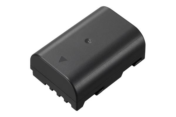 Kamera-Akku Panasonic DMW-BLF19, DMW-BLF19E, DMW-BLF19PP 7.2 V 1860 mAh DMWBLF19E