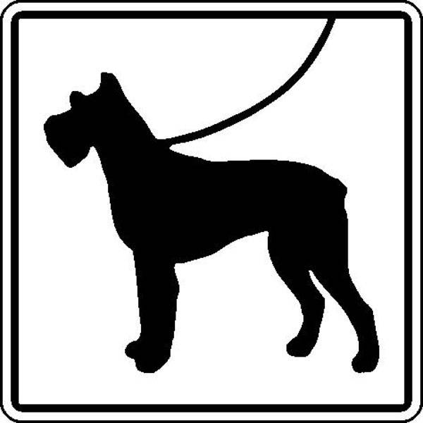 Hunde anleinen (Symbolschild) Hinweisschild, Alu, 20x20 cm