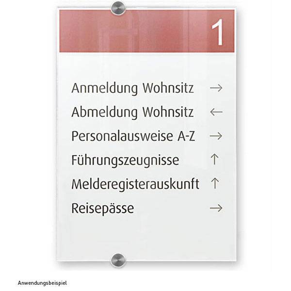 DURABLE Türschild CRYSTAL SIGN 482519 210x297mm transparent
