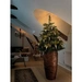 Konstsmide 2038-010 Weihnachtsbaum-Beleuchtung Innen netzbetrieben Anzahl Leuchtmittel 25 LED Warmweiß Beleuchtete Länge: 9.6m Konstsmide 2038-010 Weihnachtsbaum-Beleuchtung Innen netzbetrieben Anzahl Leuchtmittel 25 LED Warmweiß Beleuchtete Länge: 9.6m