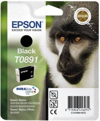 Epson Druckerpatrone T0891 Original Schwarz C13T08914011