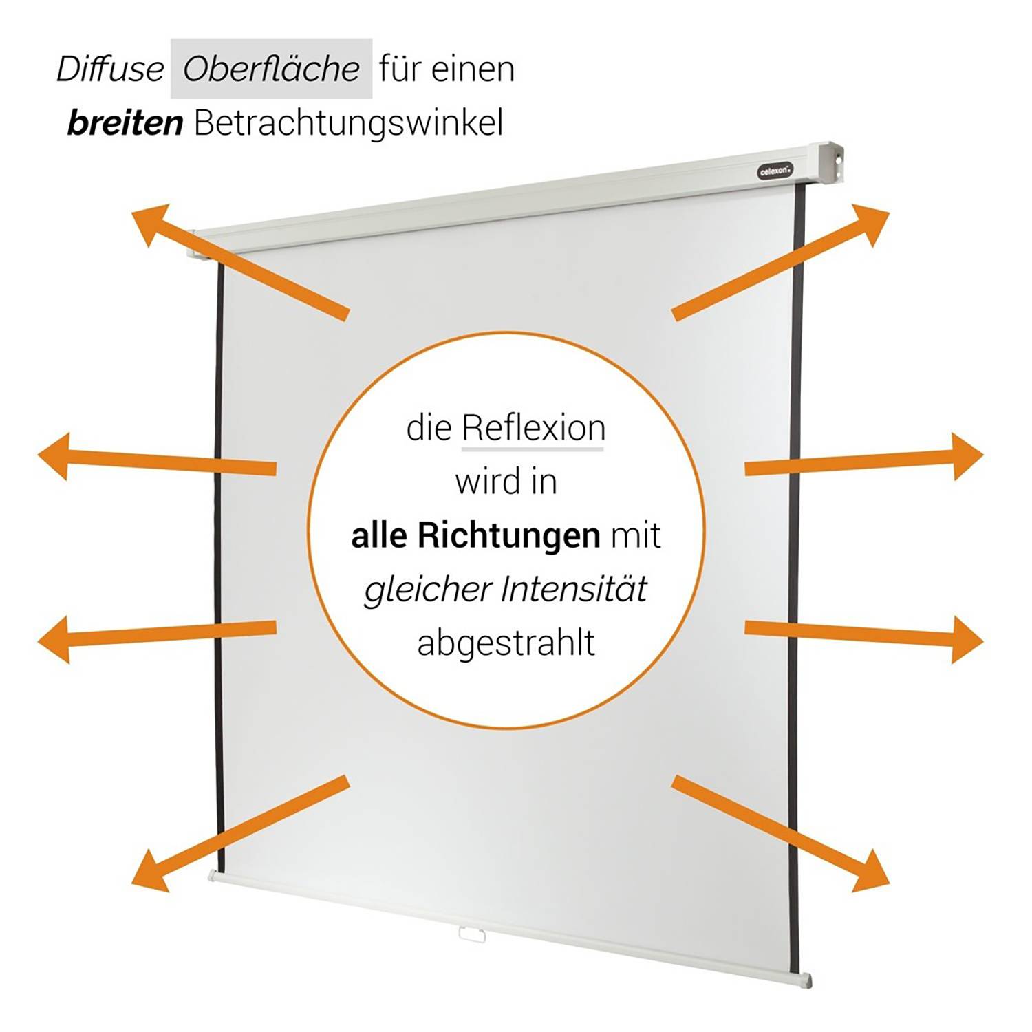 Celexon Rollo Professional 1090041 Rolloleinwand 115 x 115 cm Bildformat: 1:1