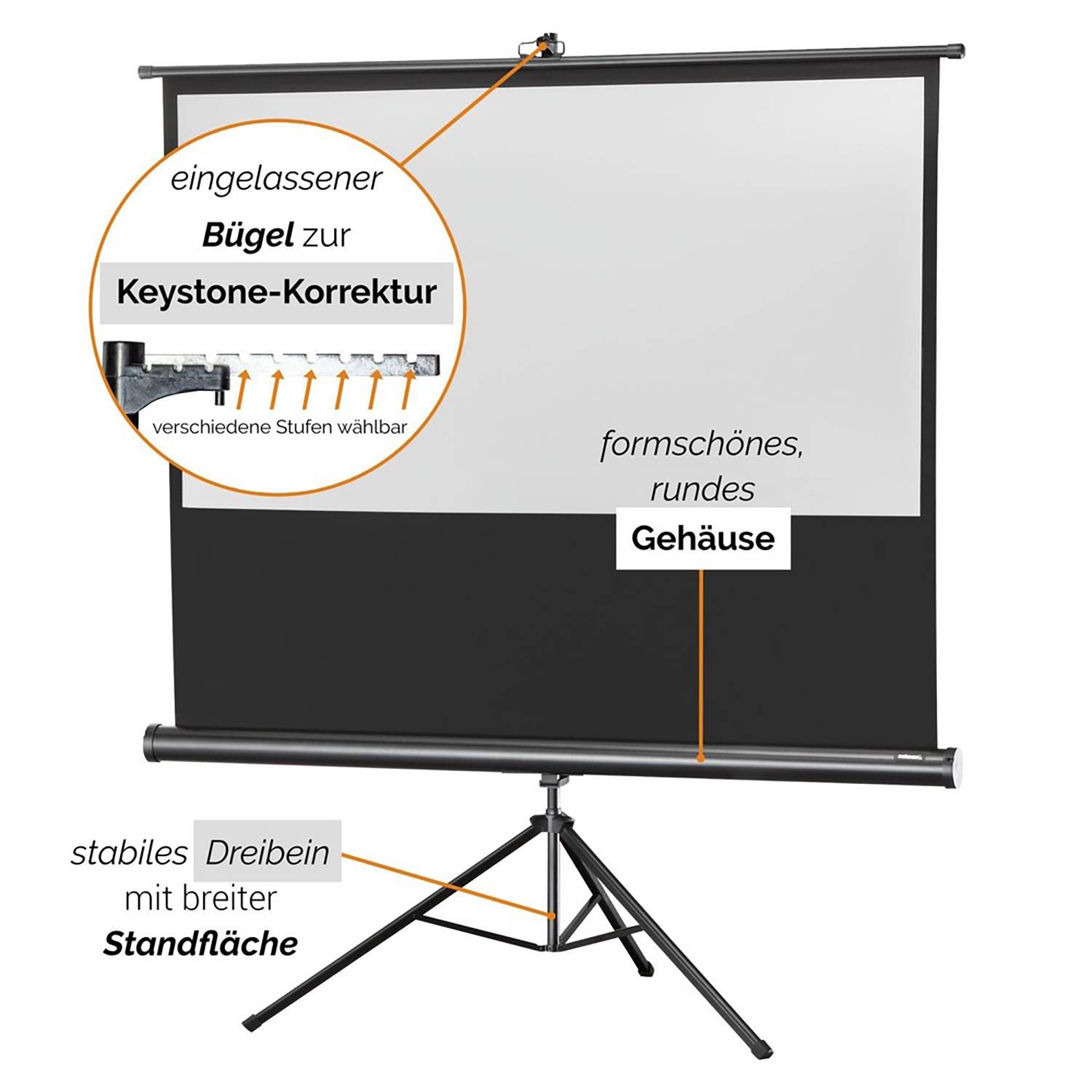 Celexon Economy 1090258 Stativleinwand
