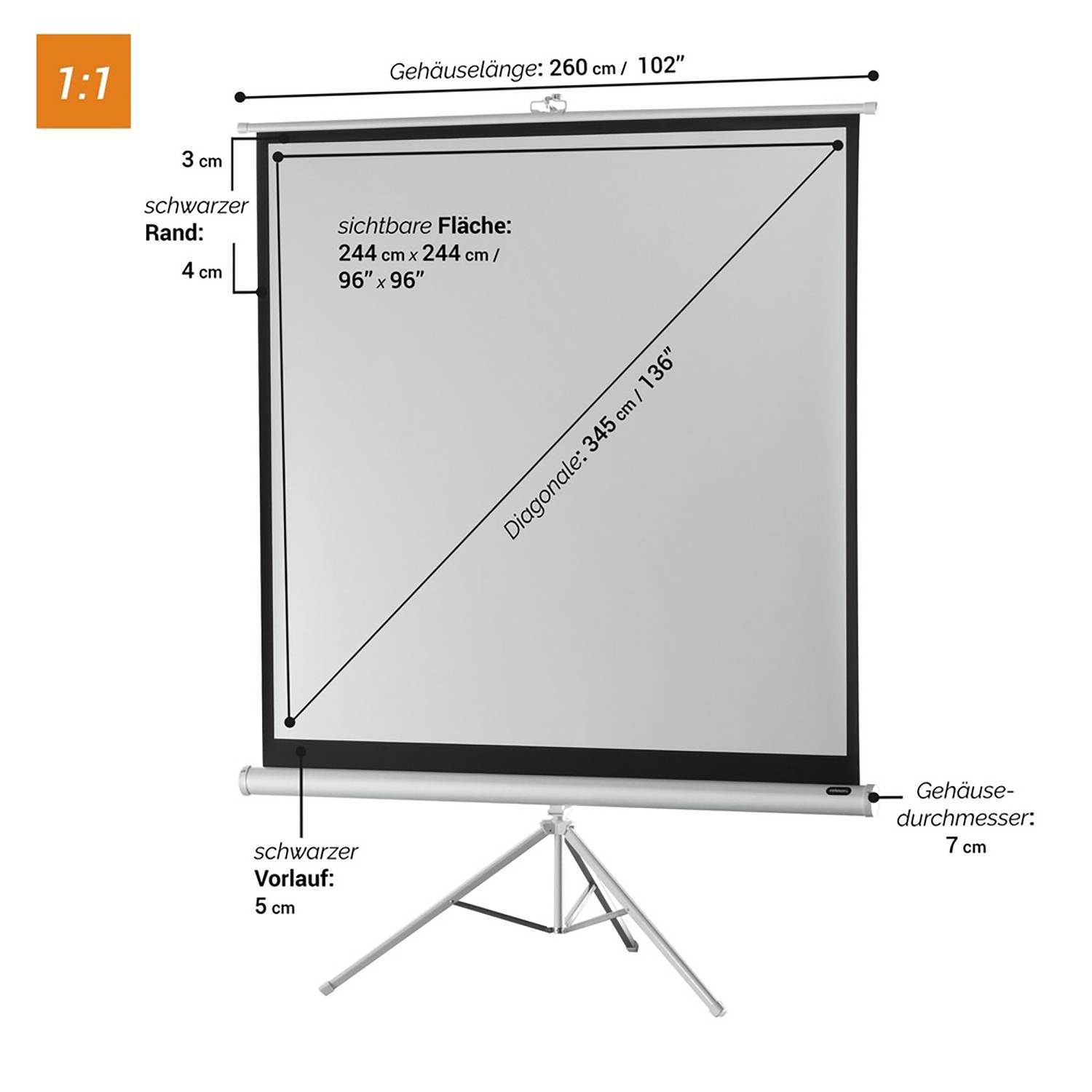 Celexon Stativ Economy 1090274 Stativleinwand 244 x 244 cm Bildformat: 1:1