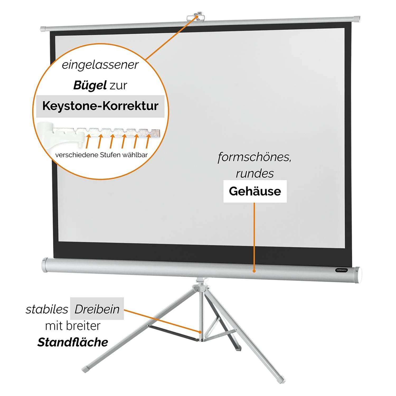 Celexon Stativ Economy 1090275 Stativleinwand 244 x 183 cm Bildformat: 4:3