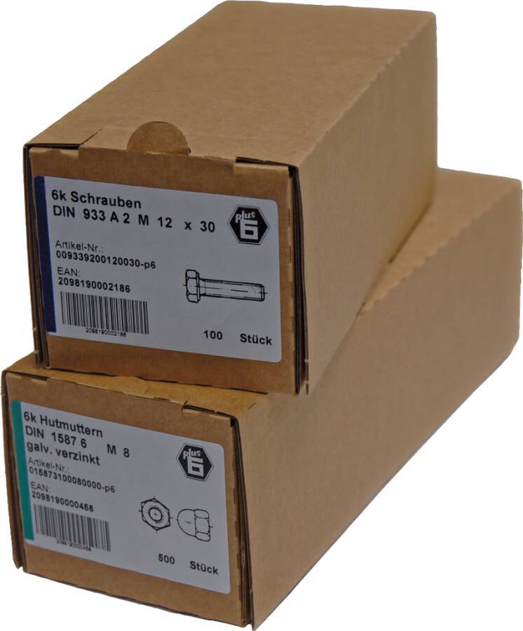 DIN 933 Sechskantschrauben, Gewinde bis Kopf -P6 009338100060050-P6 Norm DIN 933 Werkstoff Stahl 8.8 Oberfläche galvanis