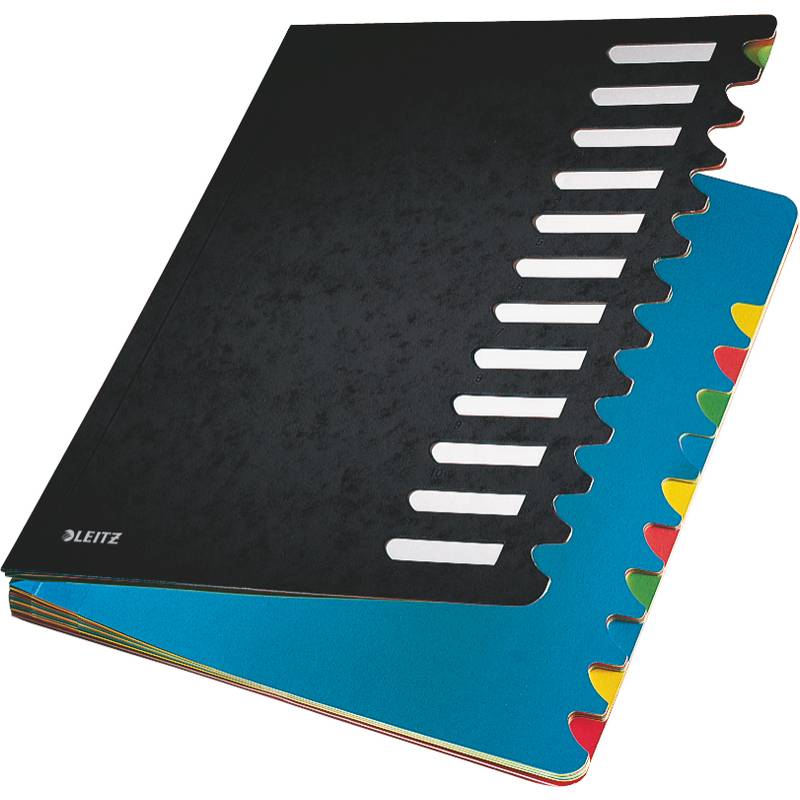 Leitz Ordnungsmappe Deskorganizer Color 59120095 12Fächer schwarz