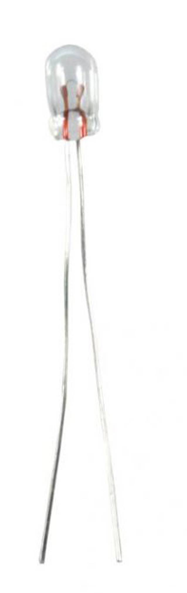 Scharnberger+Hasenbein Glühlampe T1 3x6mm 19052