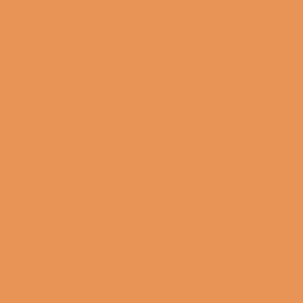 Kopierpapier Trophee A4 160g/qm VE=50 Blatt clementine/orange