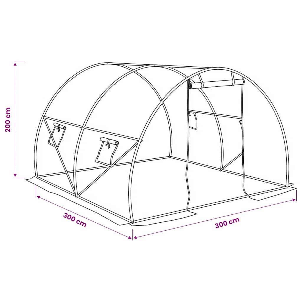 vidaXL Gewächshaus 9m² 300x300x200 cm