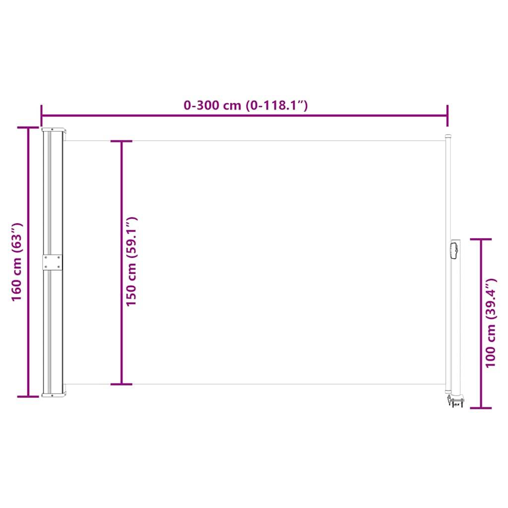 vidaXL Einziehbare Seitenmarkise 160x300 cm Grau