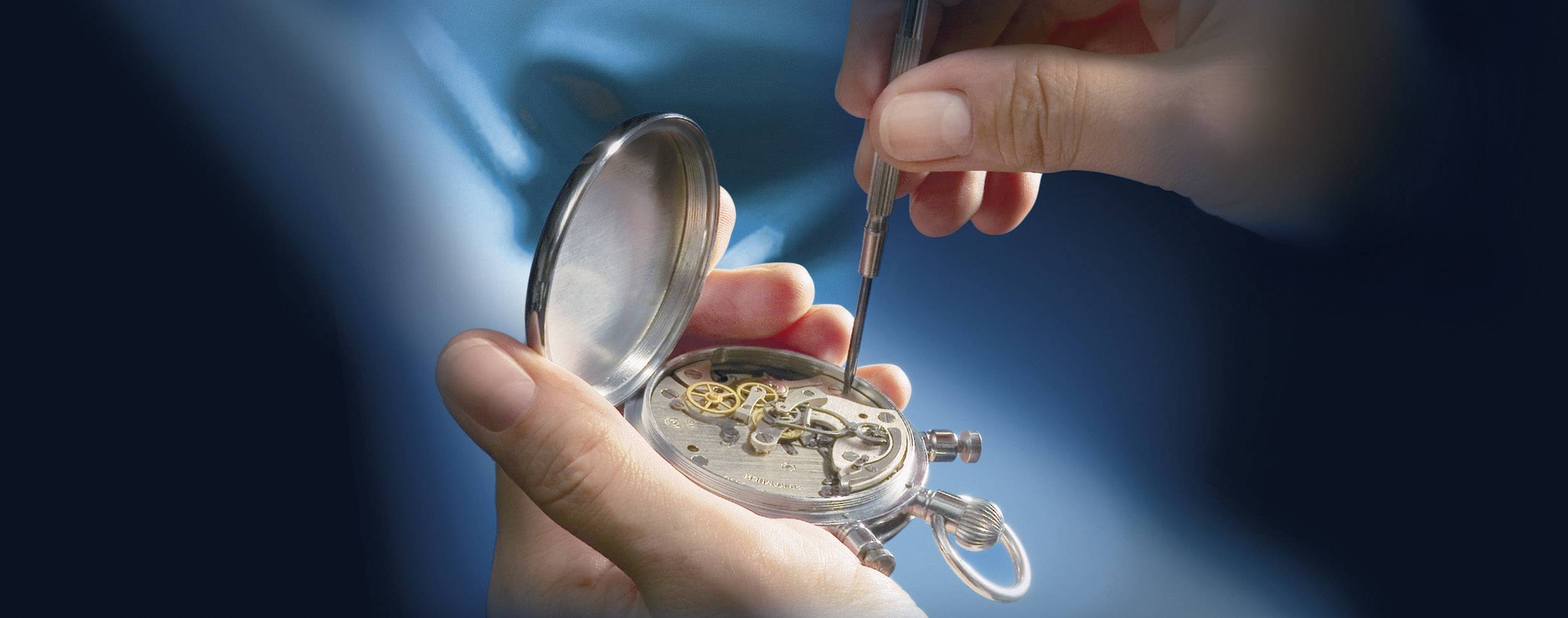 Eschenbach 162451 MAX DETAIL Lupenbrille Vergrößerungsfaktor: 2 x