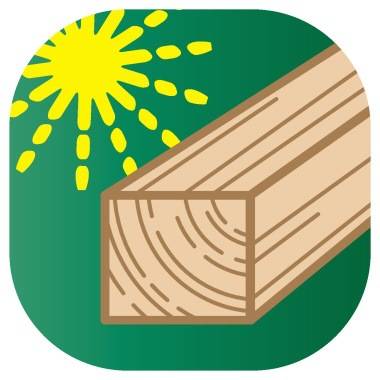 Edding edding 21 permanent marker EcoLine 4-21004 Permanentmarker Grün wasserfest: Ja