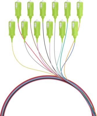 Faserpigtail SC OM5 -- farbiges Set 2m - 12 Stück Glasfaserverkabelung OM5