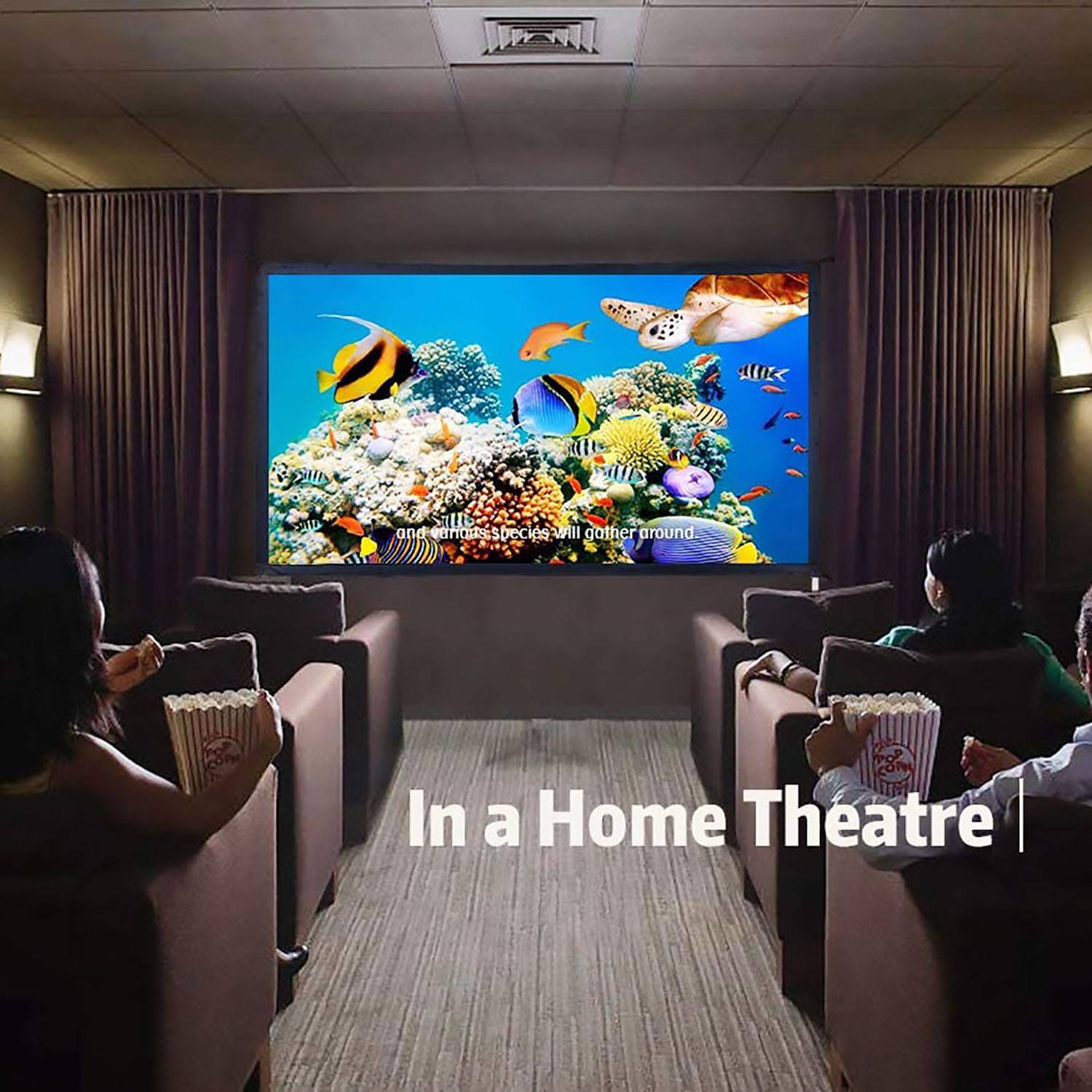 ESMART Professional MIMOBI Faltrahmen-Beamer-Leinwand 443 x 249 cm (200") 16:9