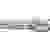 Embout Torx T 10 Wera 05071032001 acier inoxydable Forme (embouts): D 6.3