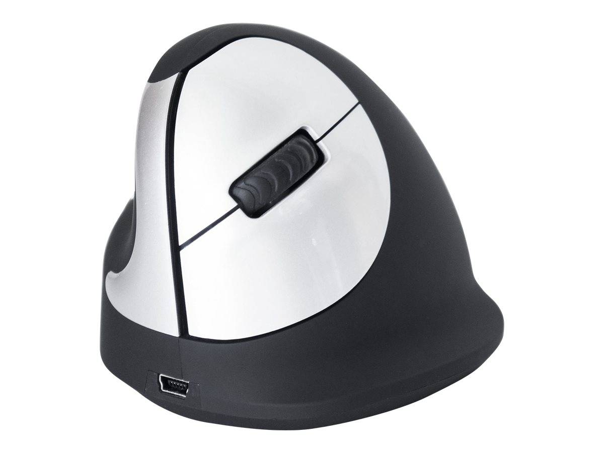 R-GO Tools RGOHEWLL Ergonomische Maus Funk Größe: M Optisch Schwarz, Silber 4 Tasten 1750 dpi Ergonomisch