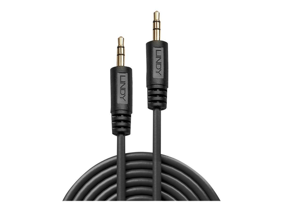 LINDY 35641 Klinke Audio Anschlusskabel [1x Klinkenstecker 3.5 mm - 1x Klinkenstecker 3.5 mm] 1.00 m Schwarz