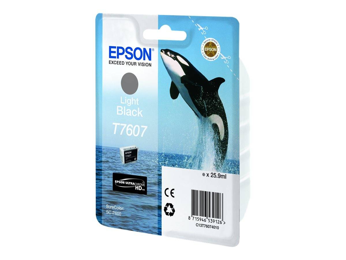 Epson Druckerpatrone T7607 Original Light Schwarz C13T76074010