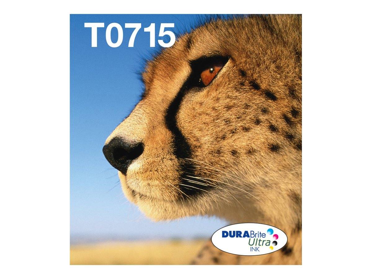 Epson Druckerpatrone T0715 Easy Mail Packaging Original Kombi-Pack Schwarz, Cyan, Magenta, Gelb C13T07154511
