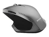 Verbatim Deluxe Ergonomische Maus Funk Optisch Grau (metallic) 8 Tasten 1600 dpi Ergonomisch