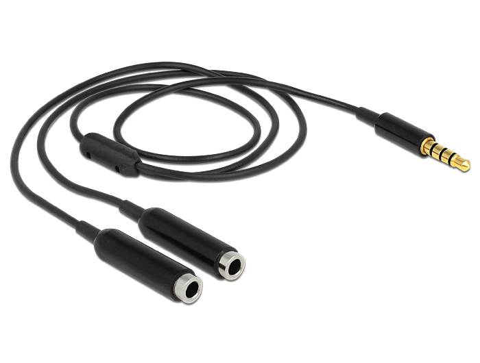 Delock 65575 Klinke Audio Y-Kabel [1x Klinkenstecker 3.5 mm - 2x Klinkenbuchse 3.5 mm] 25.00 cm Schwarz