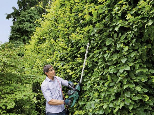 Bosch Home and Garden AHS 65-34 Elektro Heckenschere 700 W 650 mm