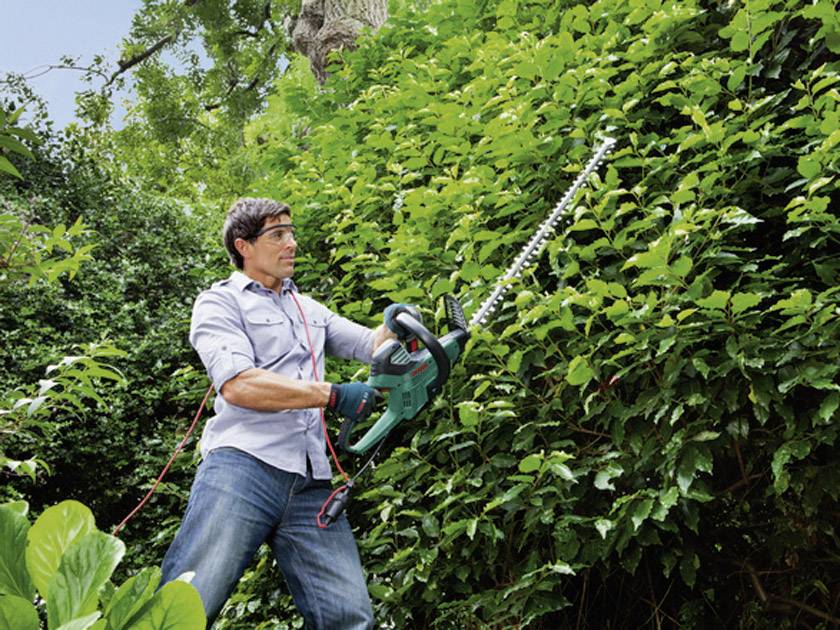 Bosch Home and Garden AHS 65-34 Elektro Heckenschere 700 W 650 mm