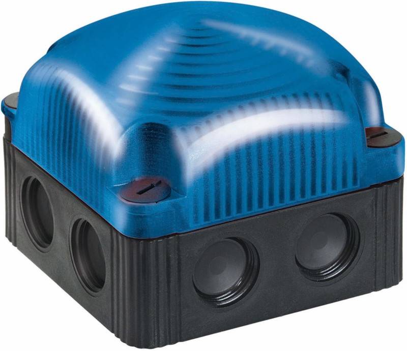 Werma Signaltechnik Signalleuchte LED Werma 853.500.60 Blau Dauerlicht 230 V/AC