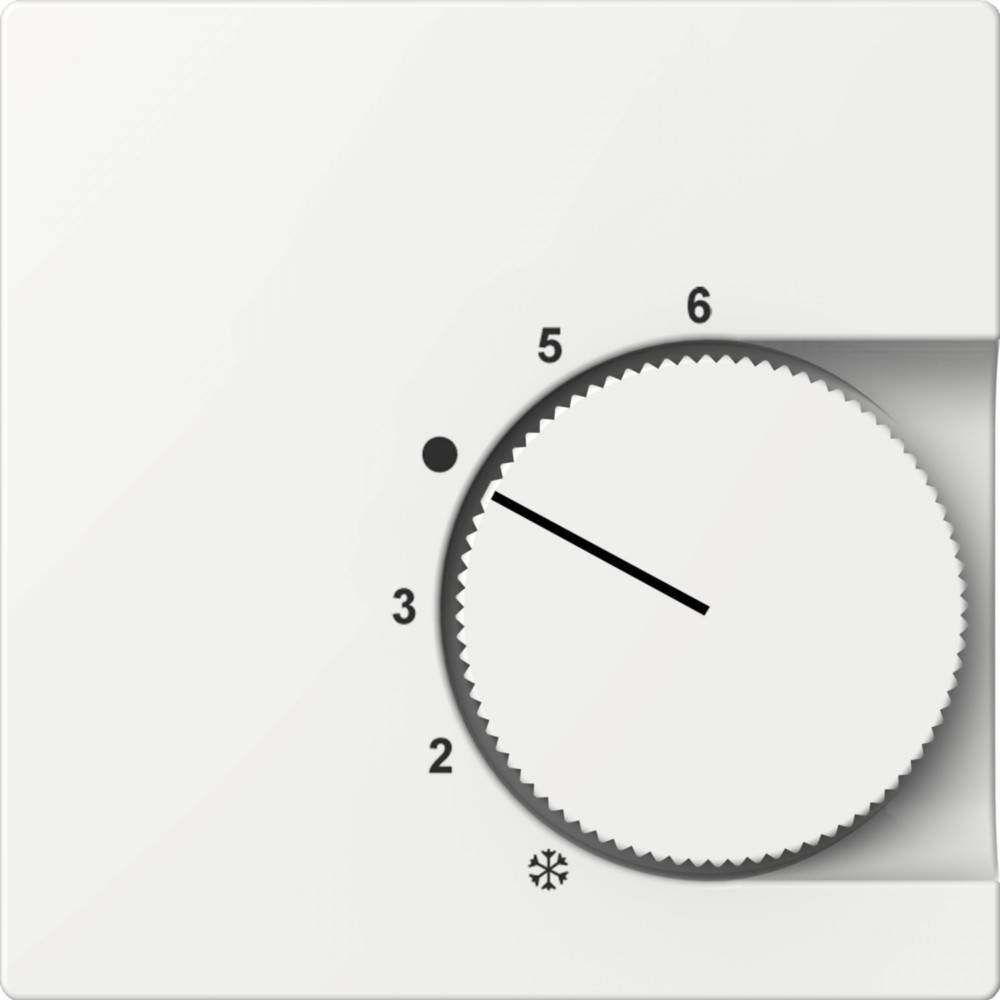 ELSO ELSO Zentralplatte ELG367404 für Temperaturregler reinweiß 1 St.