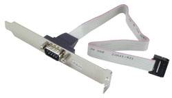 LINDY Seriell Anschlusskabel [1x D-SUB-Stecker 9pol. - 1x Buchsenleiste 10pol.] 0.26 m Grau