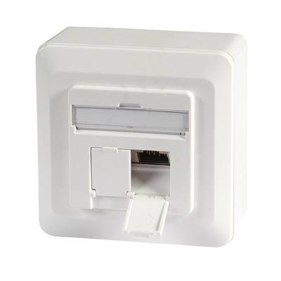 Datendose Cat.6A 500MHz oben/unten -- Aufputz, 2xRJ45, RAL9010 Netzwerkdose
