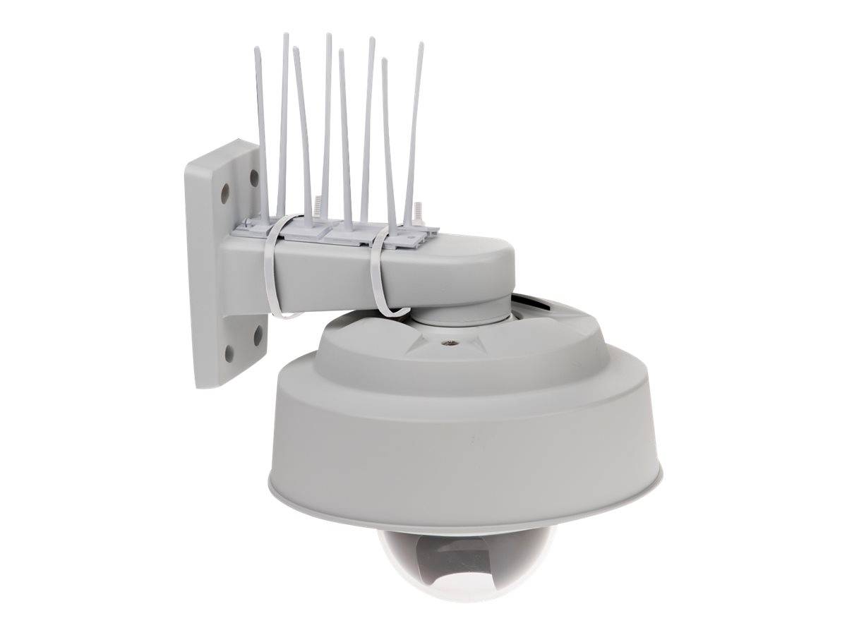AXIS Bird Control Spike - Kamera-Schutzstift (Packung mit 10)