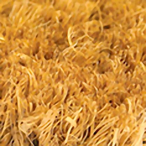 COBA Europe CM050006 Coir Schmutzfangmatte (L x B x H) 100cm x 50cm x 17mm Hellbraun