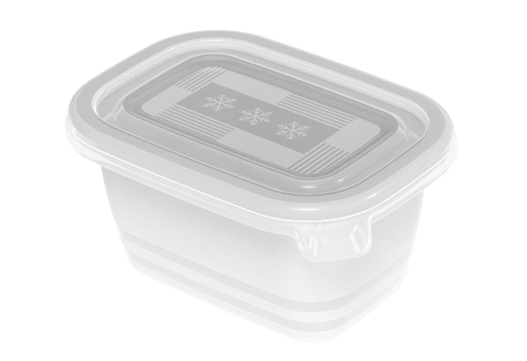 Rotho Freeze 6er-Set Gefrierboxen 0,25l mit Deckel, Kunststoff (PP) BPA-frei, transparent, 6 x