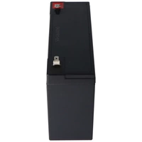Fiamm FG11201 Blei Akku 6 Volt 12Ah Fiamm FG11201 Blei Akku 6 Volt 12Ah