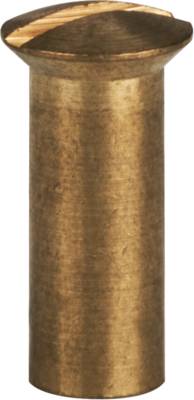 Linsenkopf-Hülsenmutter,m. Schlitz -- M4x14, (Spleissbox) Glasfaser +