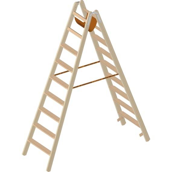 Layher Holzstehleiter 1020 2 x 9 Sprossen Länge 2,38 m