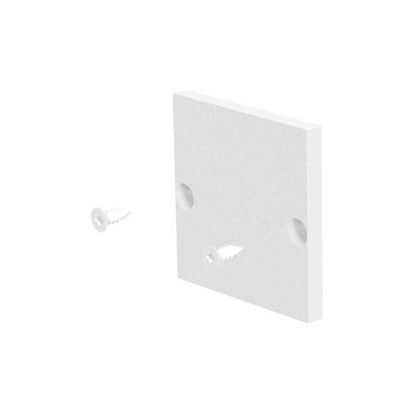 Weiße Abdeckplatte mit zwei Schrauben. Eine Schraube ist befestigt, die andere schwebt zur linken Seite.