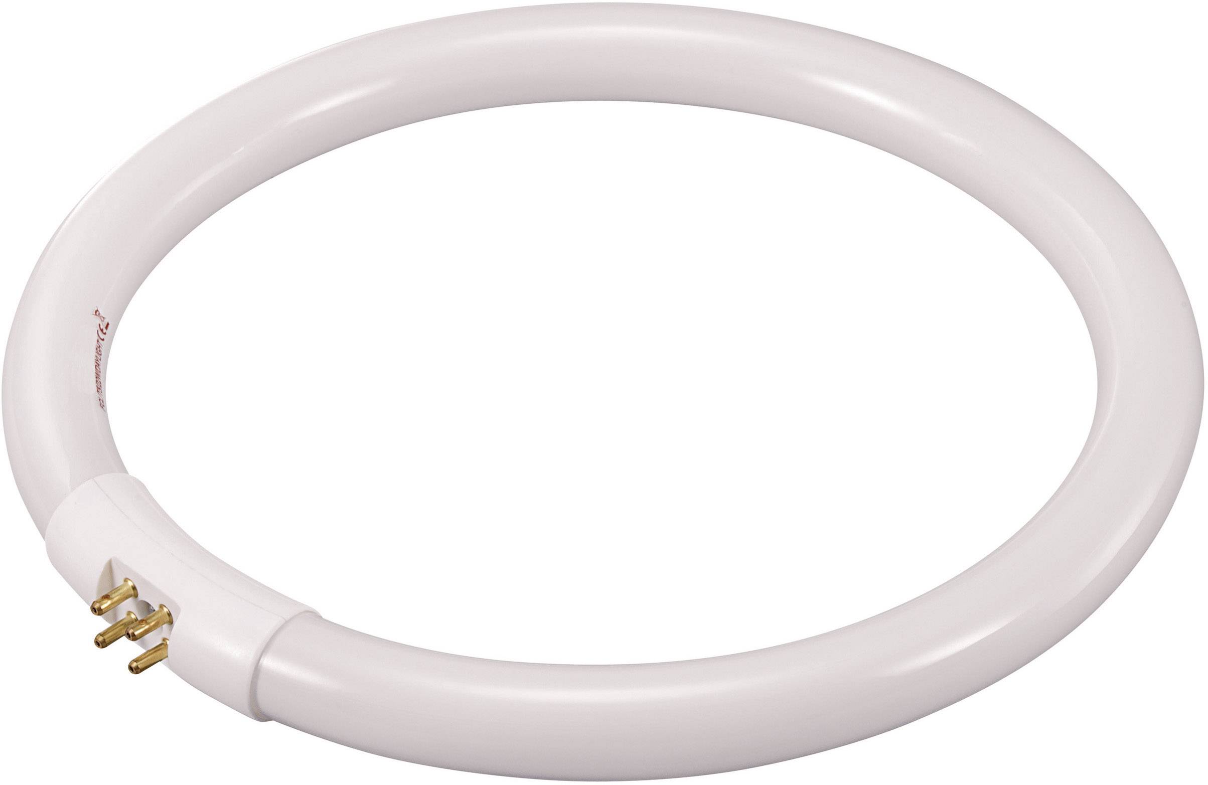 TOOLCRAFT Leuchtstoffröhre EEK: G (A - G) G10q 22W Kaltweiß Ringform (Ø x H) 185mm x 185mm 1St.