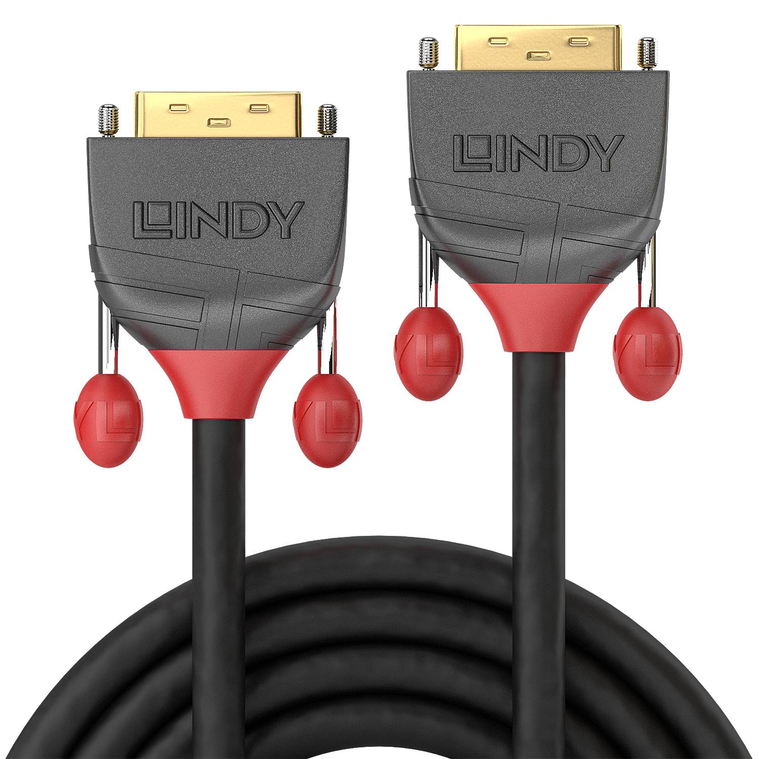 LINDY DVI Anschlusskabel DVI-D 24+1pol. Stecker, DVI-D 24+1pol. Stecker 0.50 m Schwarz 36220 DVI-Kabel